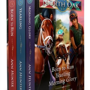 Rebel House Ink Equestrian Fiction eBook for Teens-0