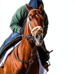 North Oak Equestrian Fiction Kindle Book Teen Runaway Series-0
